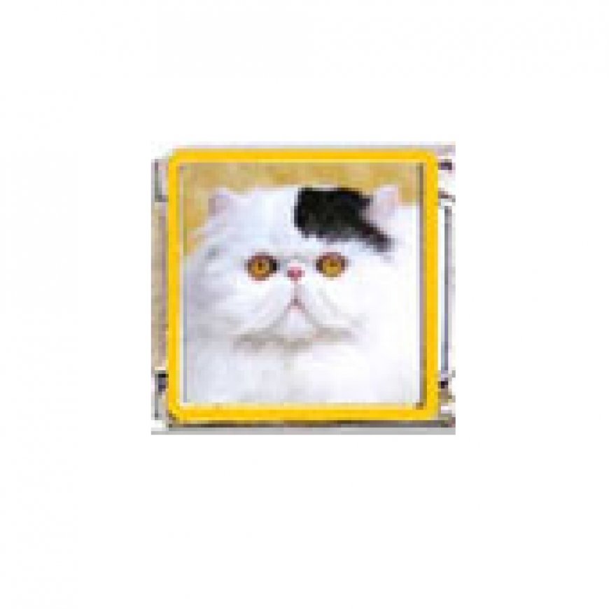 Cat - Persian cat (b) 9mm enamel Italian charm - Click Image to Close