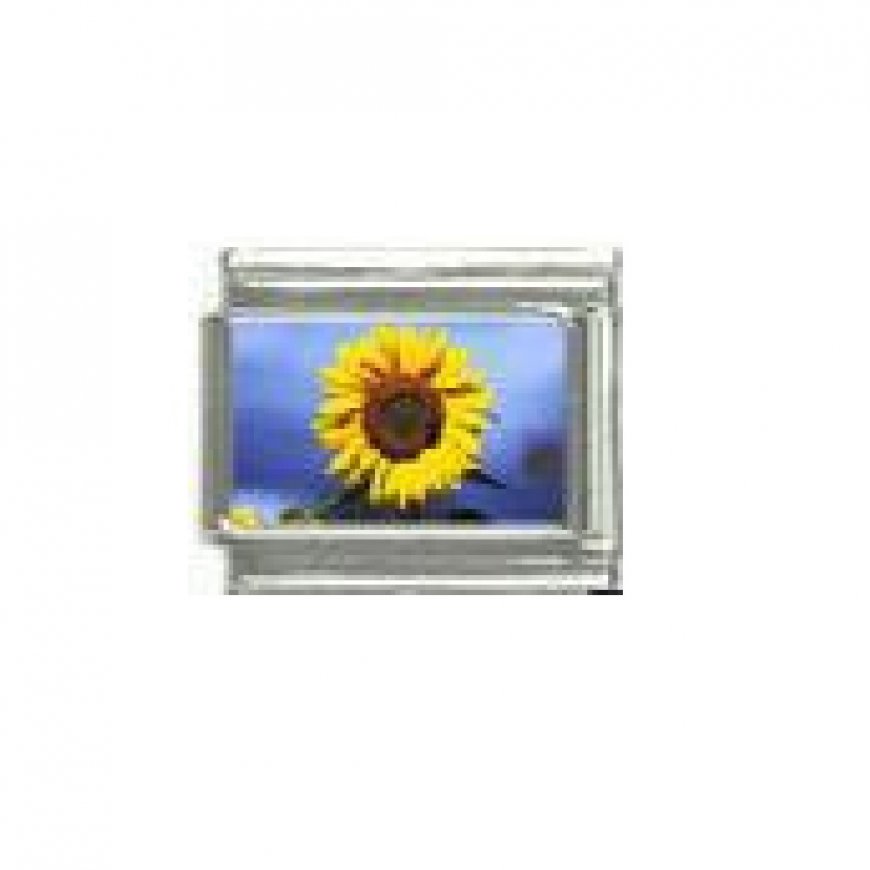 Sunflower (a) - Flower photo - 9mm Italian charm - Click Image to Close