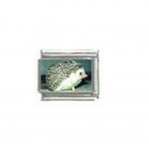Hedgehog (j) photo - 9mm Italian charm
