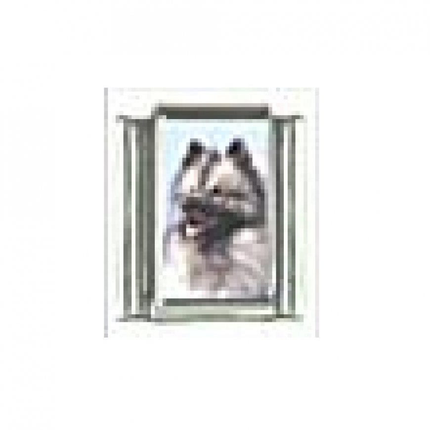 Dog charm - Keeshond 3 - 9mm Italian charm - Click Image to Close