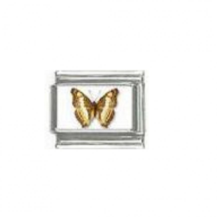 Butterfly photo a46 - 9mm Italian charm - Click Image to Close