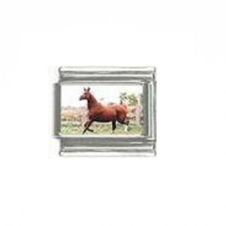 Horse (i) - photo 9mm Italian charm - Click Image to Close