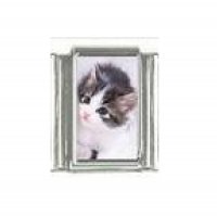 Cat - black and white kitten 9mm photo Italian charm