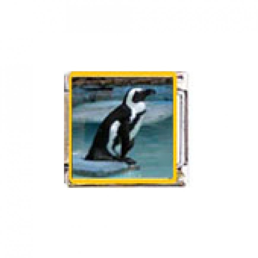 Penguin (o) - enamel 9mm Italian charm - Click Image to Close