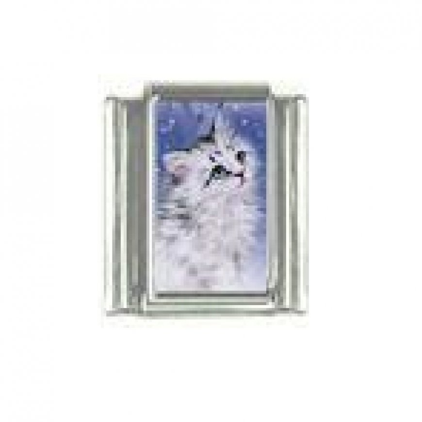 Cat - Grey fluffy cat 9mm photo Italian charm - Click Image to Close