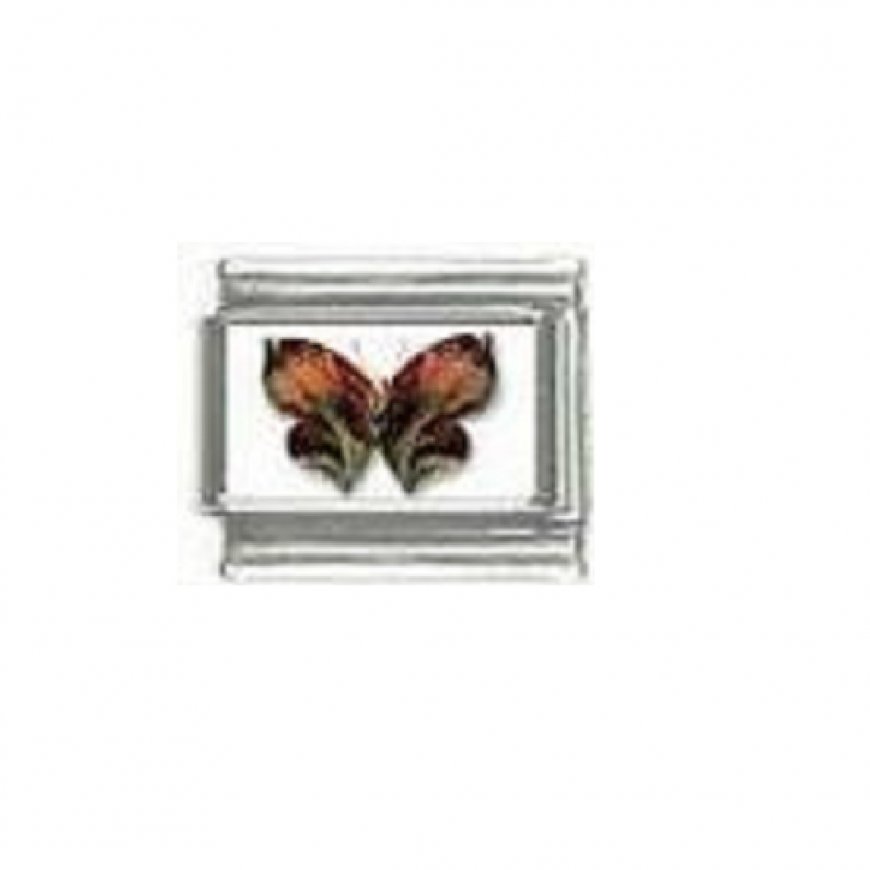 Butterfly photo a19 - 9mm Italian charm - Click Image to Close