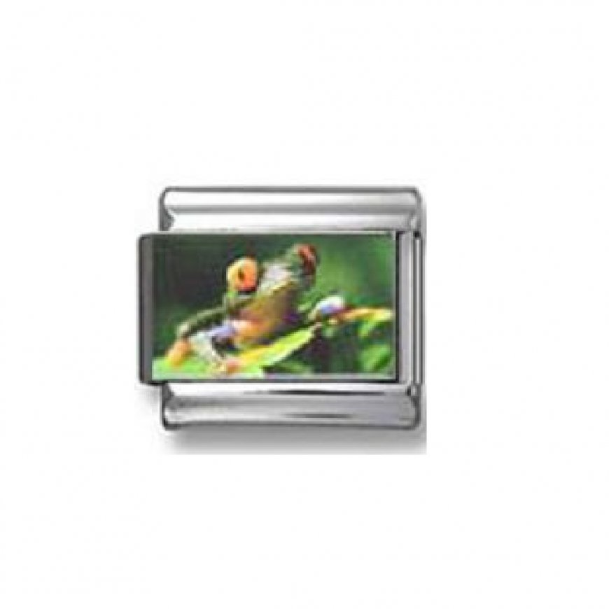 Frog (a) - photo 9mm Italian charm - Click Image to Close