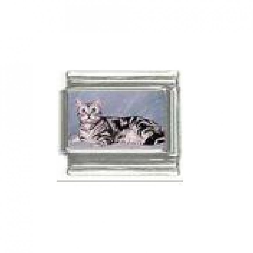 Cat - grey tabby cat (c) photo 9mm Italian charm - Click Image to Close
