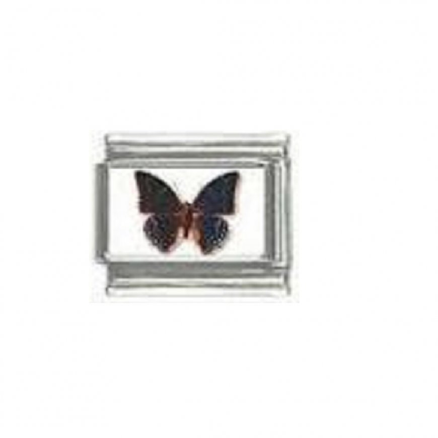 Butterfly photo a31 - 9mm Italian charm - Click Image to Close