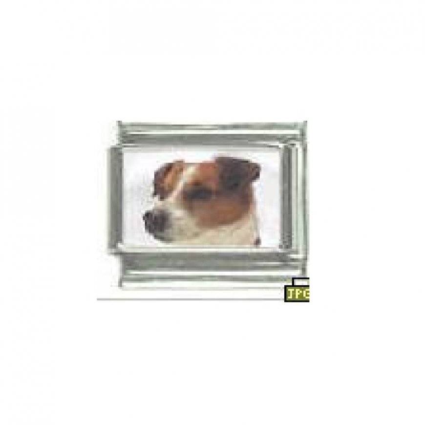 Dog charm - Jack Russell 4 - 9mm Italian charm - Click Image to Close
