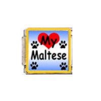 Love my Maltese - dog - enamel 9mm Italian charm