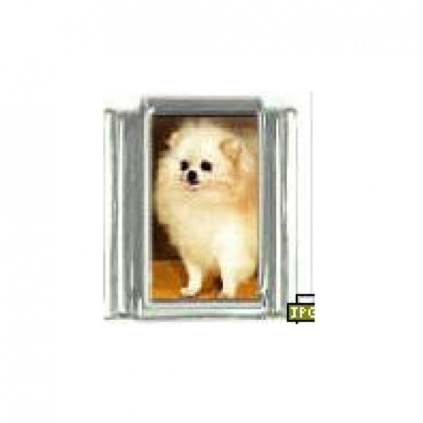 Dog charm - Pomeranian 4 - 9mm Italian charm - Click Image to Close