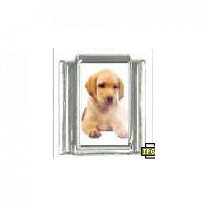 Dog charm - Labrador 5 golden - 9mm Italian charm - Click Image to Close