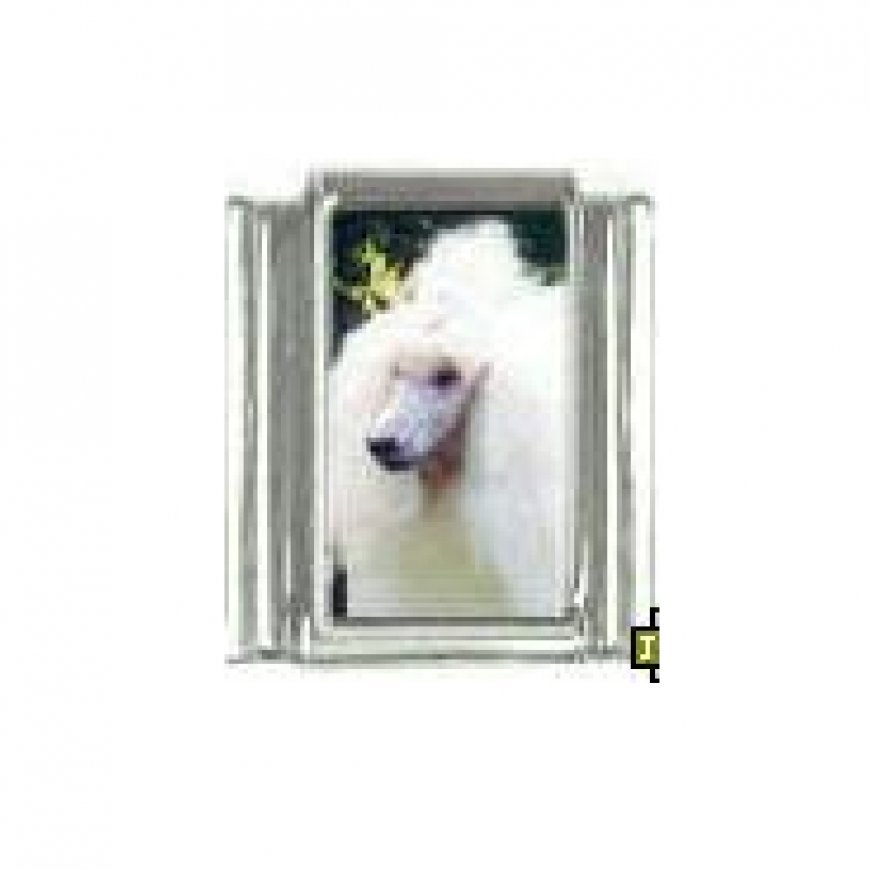 Dog charm - Poodle 5 - 9mm Italian charm - Click Image to Close