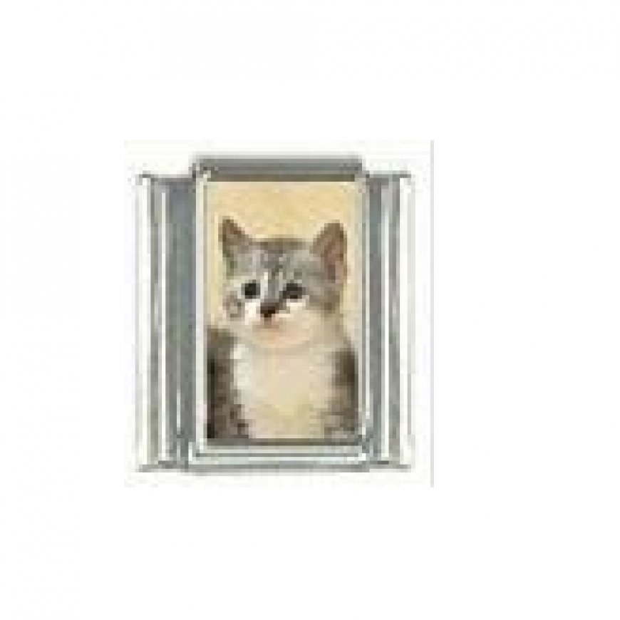 Kitten - Grey and white - 9mm photo Italian charm - Click Image to Close