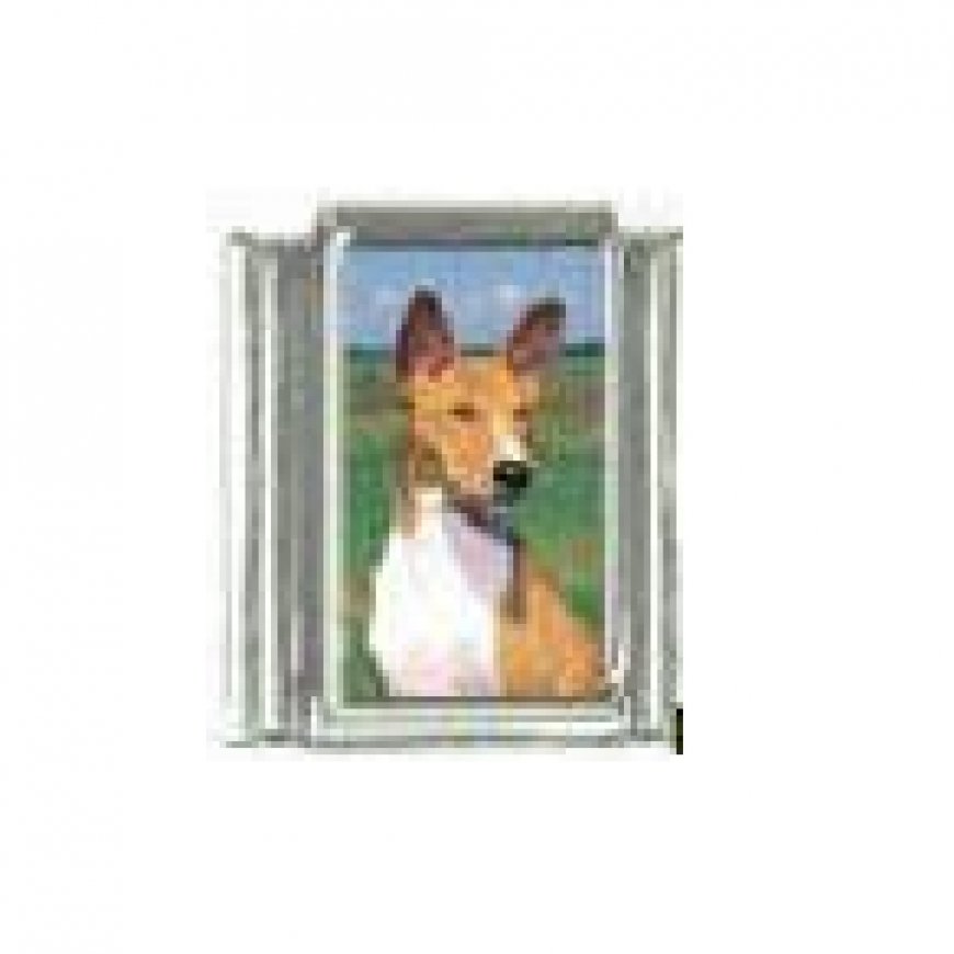 Dog charm - Basenji 4 - 9mm Italian charm - Click Image to Close