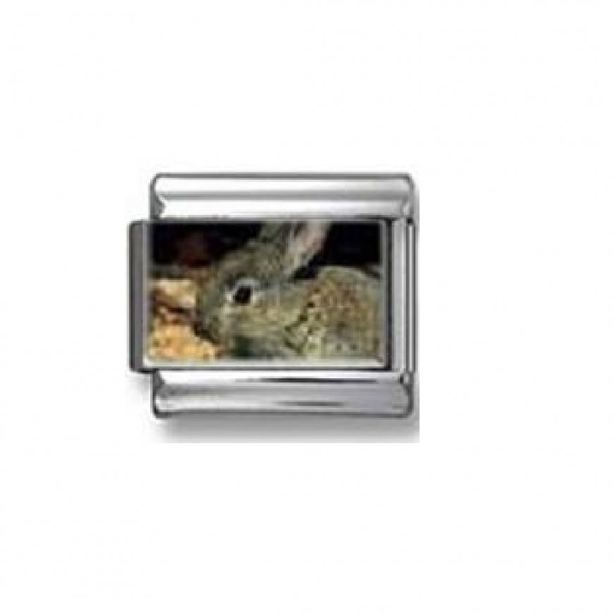 Rabbit - wild - photo 9mm Italian charm - Click Image to Close