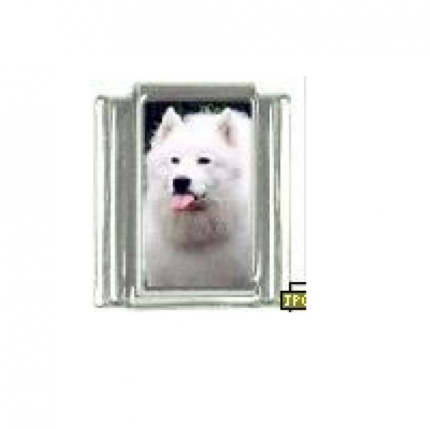 Dog charm - Samoyed 5 - 9mm Italian charm - Click Image to Close