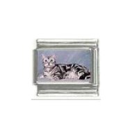 Cat - grey tabby cat (c) photo 9mm Italian charm