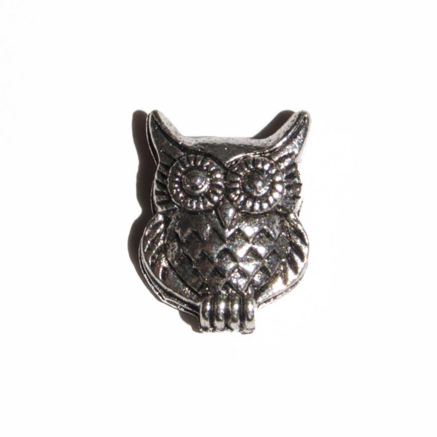 Owl 7mm floating charm - fits living memory locket - Click Image to Close