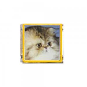 Cat - Persian cat (a) 9mm enamel Italian charm
