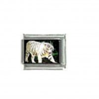 White tiger (m) photo - 9mm Italian charm