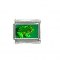 Frog (e) - photo 9mm Italian charm
