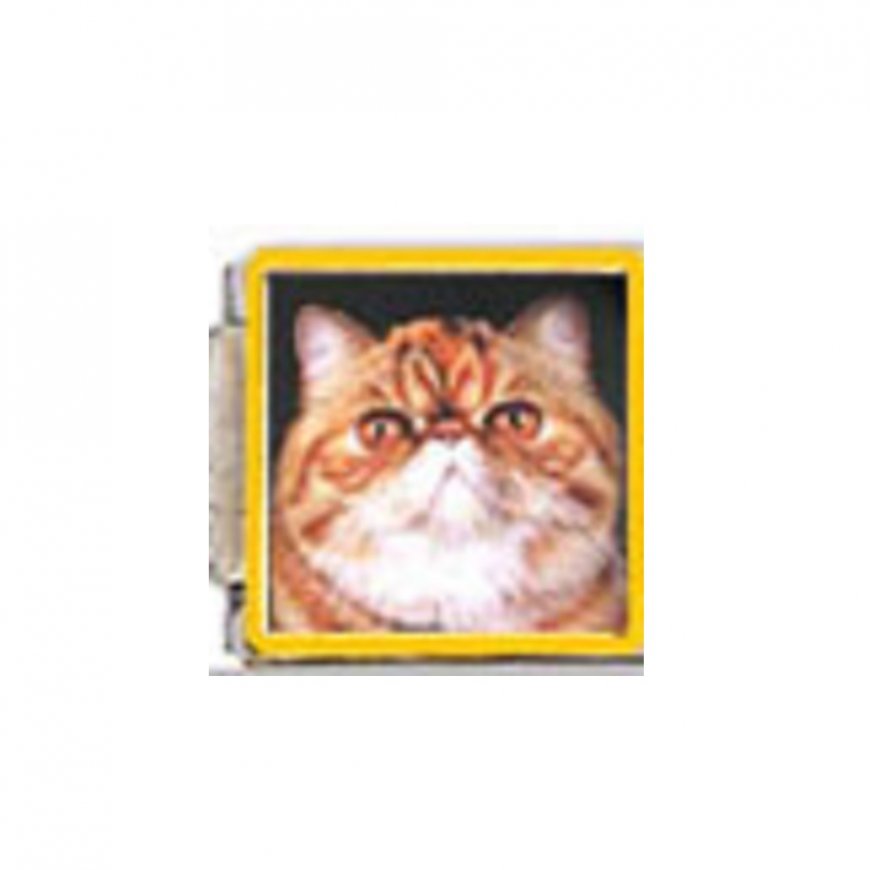 Cat - Ginger tabby cat (b) enamel 9mm Italian charm - Click Image to Close