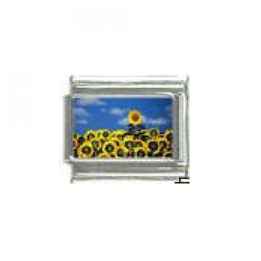 Sunflowers in a field - Flower photo - 9mm Italian charm - Click Image to Close