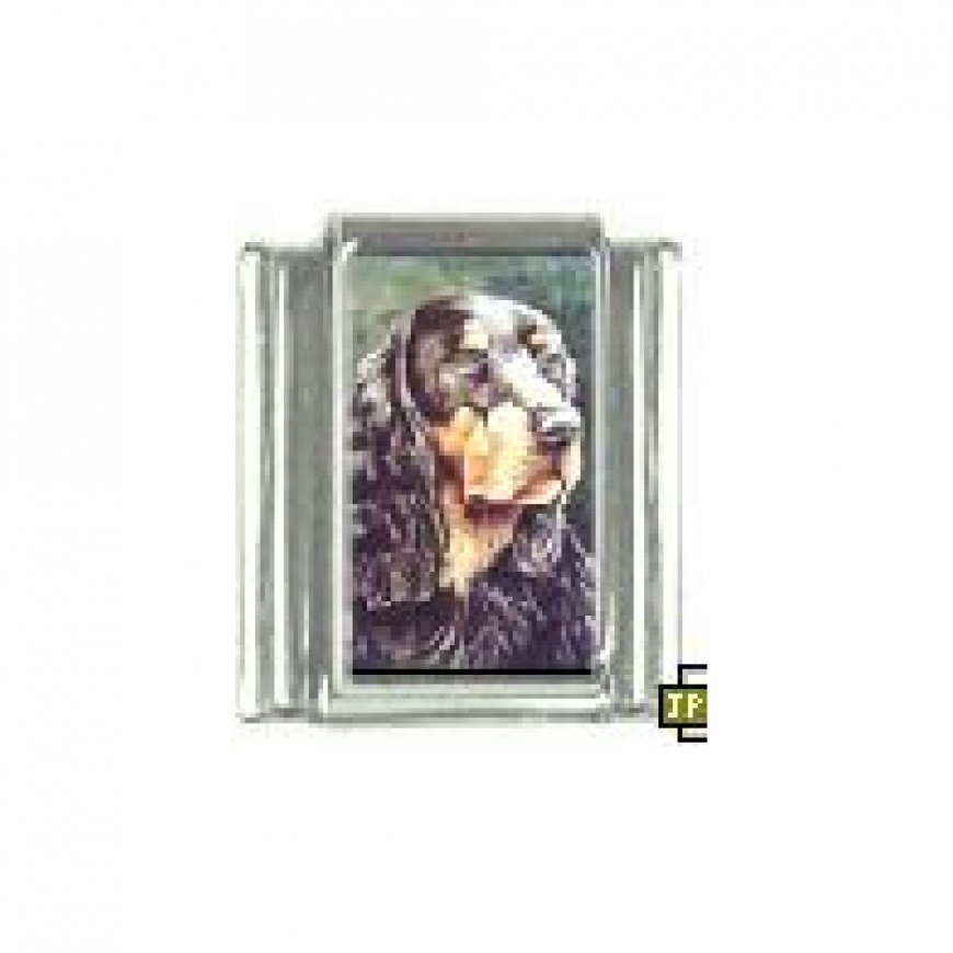 Dog charm - Gordon Setter 3 - 9mm Italian charm - Click Image to Close