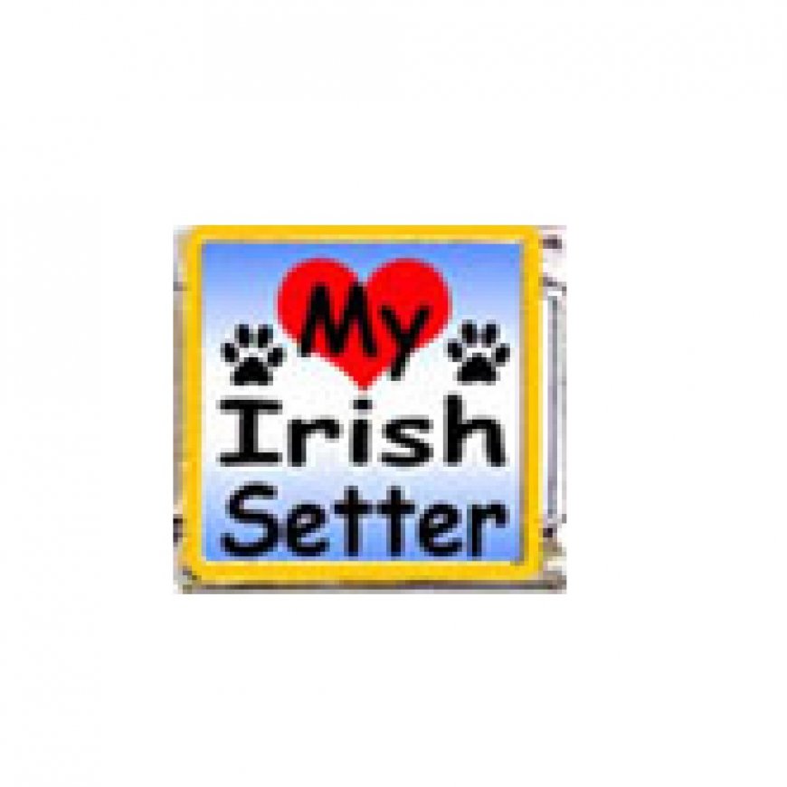 Love my Irish Setter - dog - enamel 9mm Italian charm - Click Image to Close
