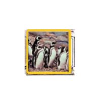 Penguin (ab) - enamel 9mm Italian charm