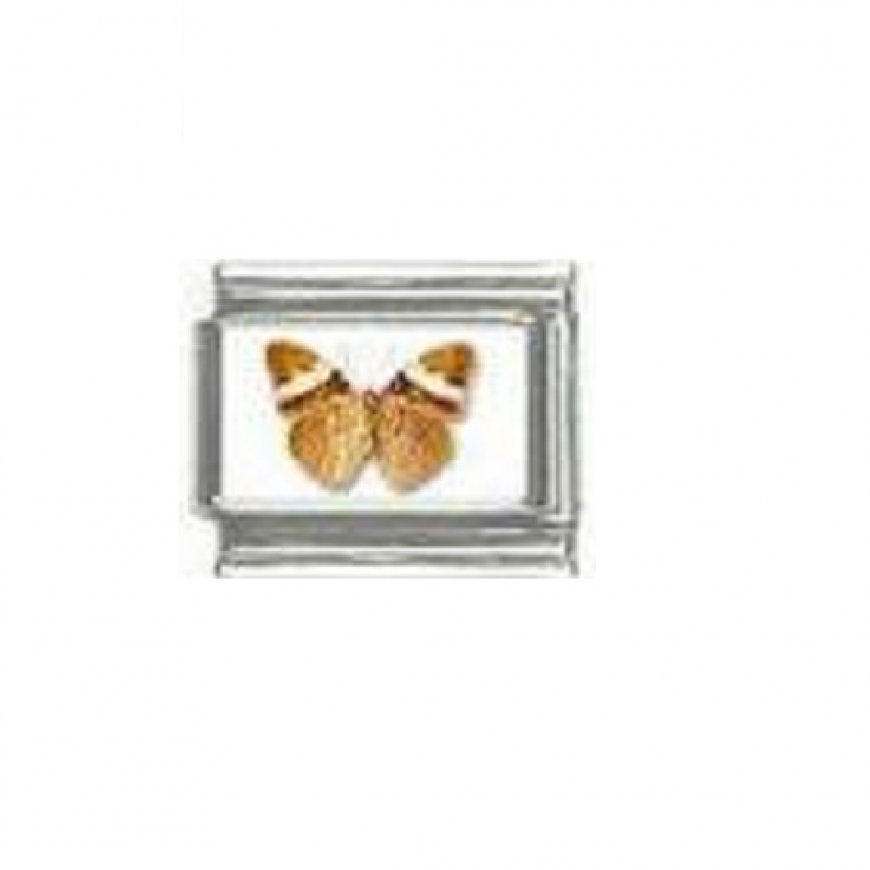 Butterfly photo a6 - 9mm Italian charm - Click Image to Close