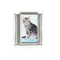 Cat - grey tabby cat (d) photo 9mm Italian charm