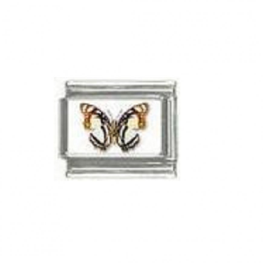 Butterfly photo a1 - 9mm Italian charm - Click Image to Close
