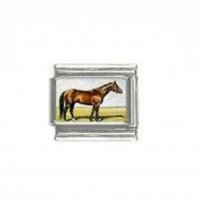 Horse (ad) - photo 9mm Italian charm