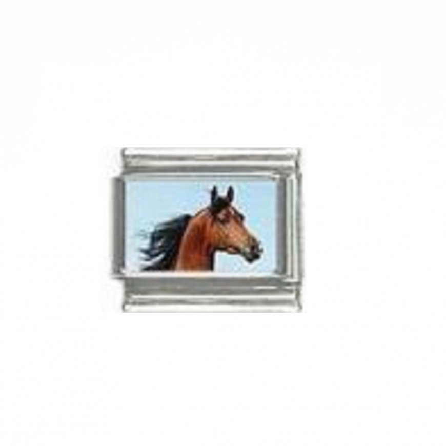 Horse (g) - photo 9mm Italian charm - Click Image to Close