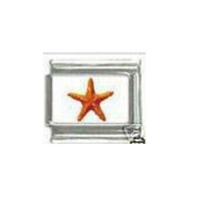 Starfish - photo - 9mm Italian Charm - Click Image to Close