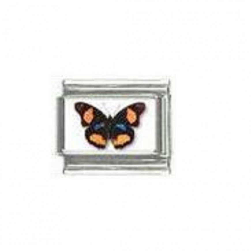 Butterfly photo a115 - 9mm Italian charm - Click Image to Close