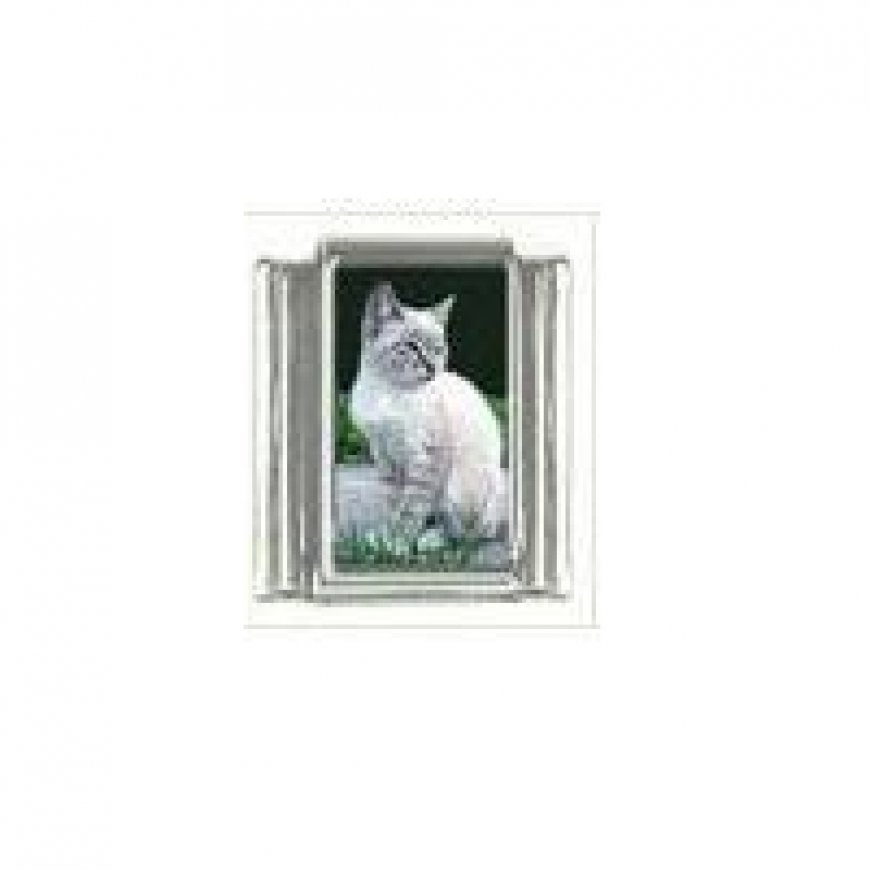 Cat - Burmese cat photo 9mm Italian charm - Click Image to Close