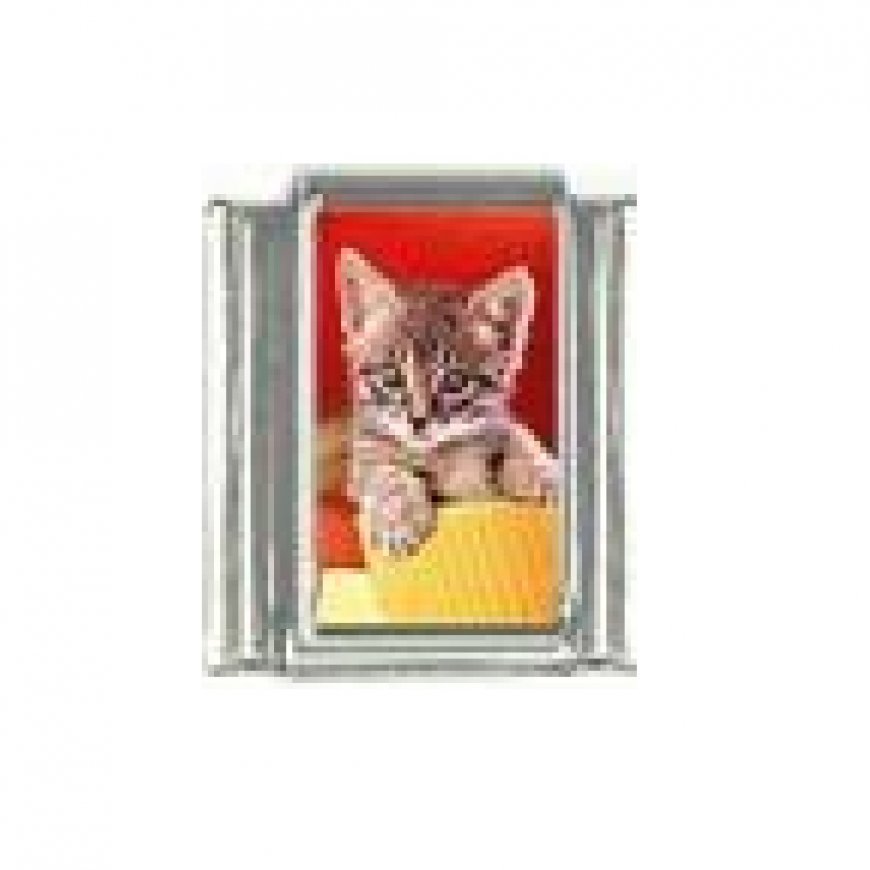 Cat - Kitten on red background photo 9mm Italian charm - Click Image to Close
