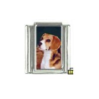 Dog charm - Beagle 3 - 9mm Italian charm