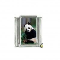 Panda (c) - photo 9mm Italian charm