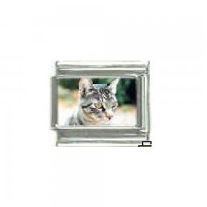 Cat - grey tabby cat (a) photo 9mm Italian charm