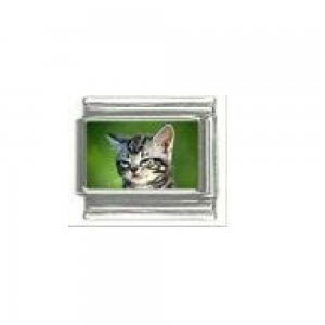 Cat - tabby cat (f) photo 9mm Italian charm