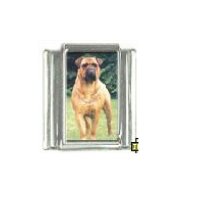 Dog charm - Bull Mastiff 4 - 9mm Italian charm