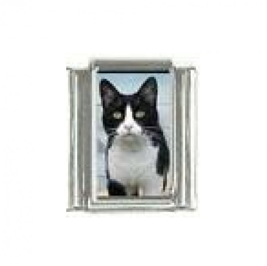 Cat - Black and white cat (f) photo 9mm Italian charm - Click Image to Close