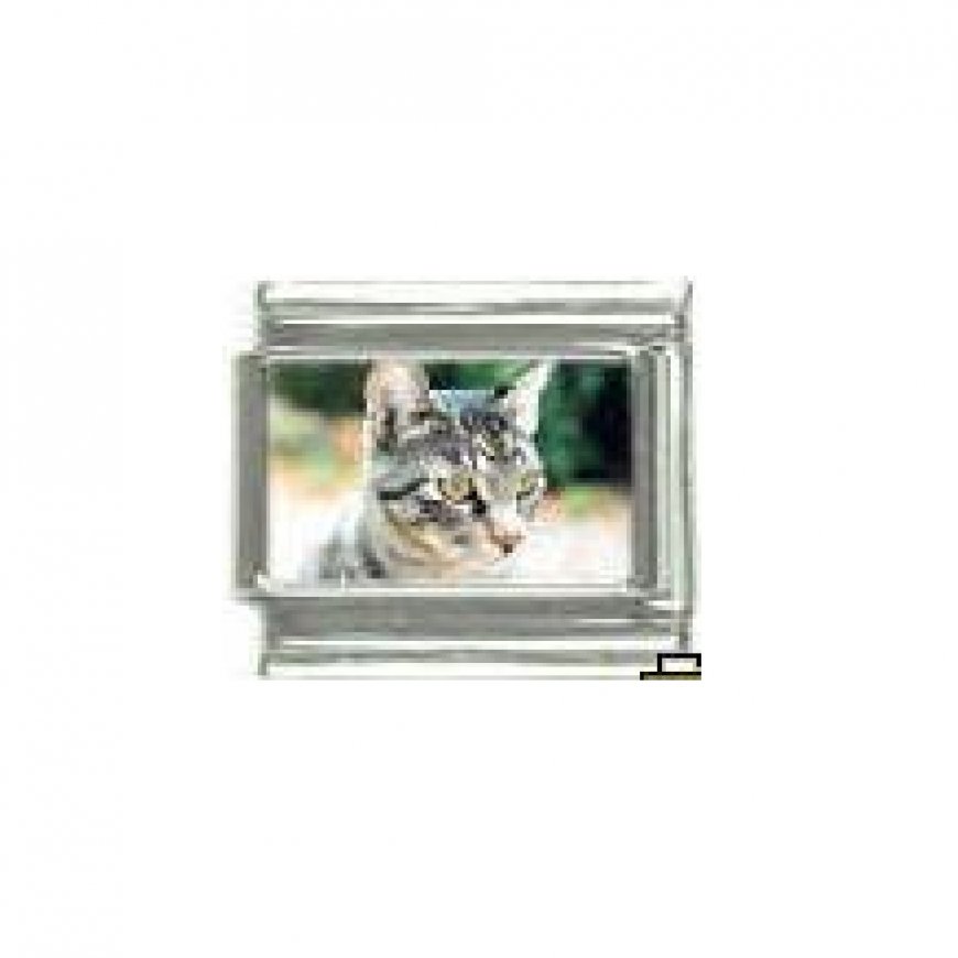 Cat - grey tabby cat (a) photo 9mm Italian charm - Click Image to Close
