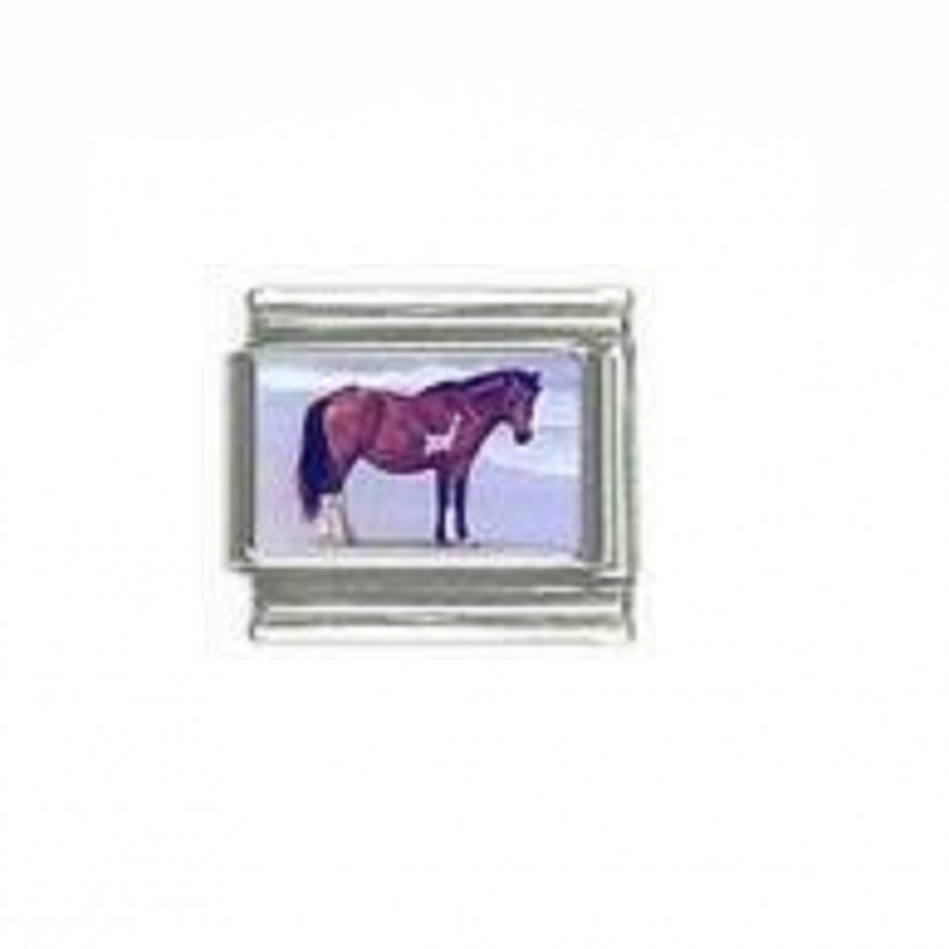 Horse (x) - photo 9mm Italian charm - Click Image to Close