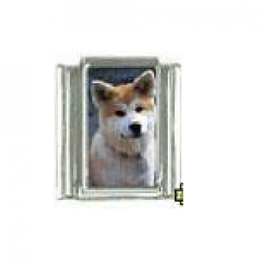Dog charm - Akita 4 - 9mm Italian charm - Click Image to Close